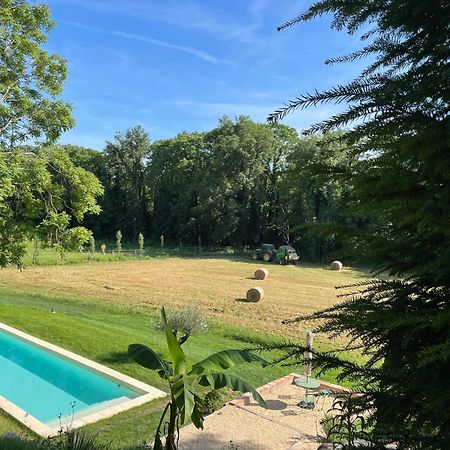 Chateau Du Go アルビ エクステリア 写真