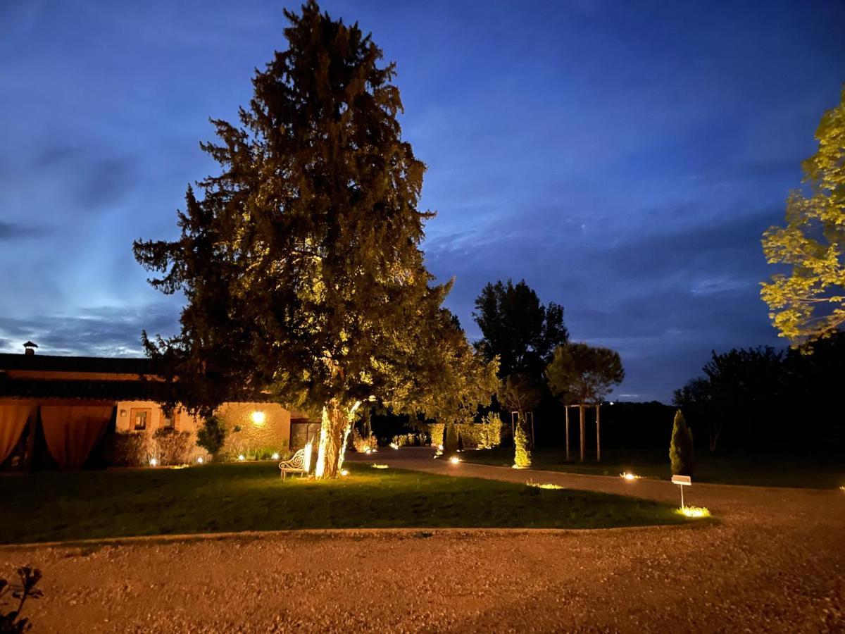 Chateau Du Go アルビ エクステリア 写真